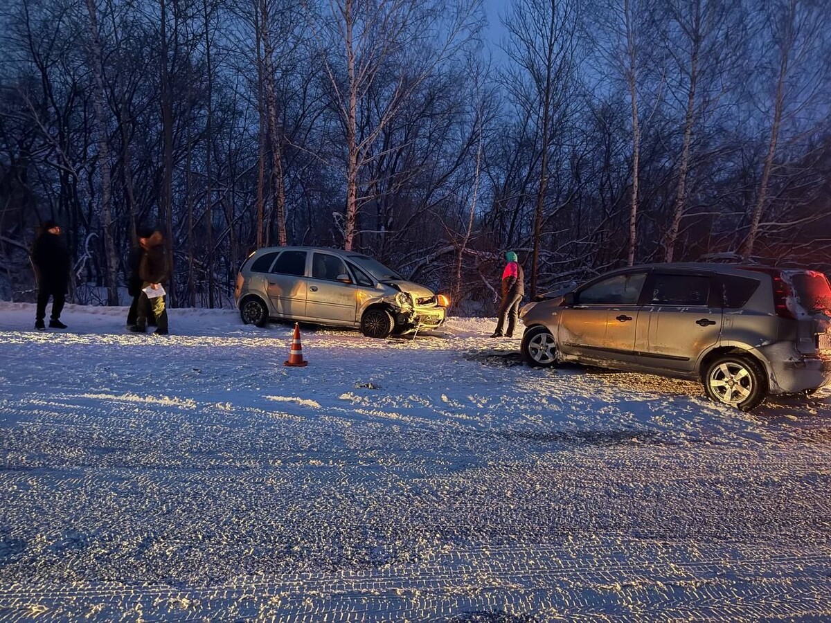     / Источник: © Госавтоинспекция Омской области