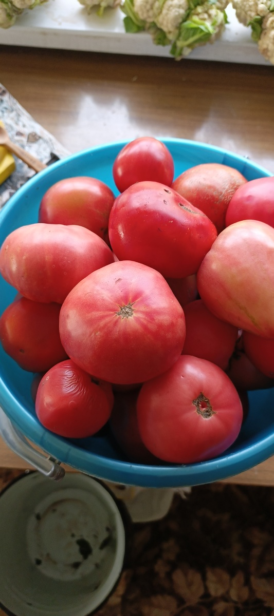 Продала одиннадцать вёдер. Были излишки.