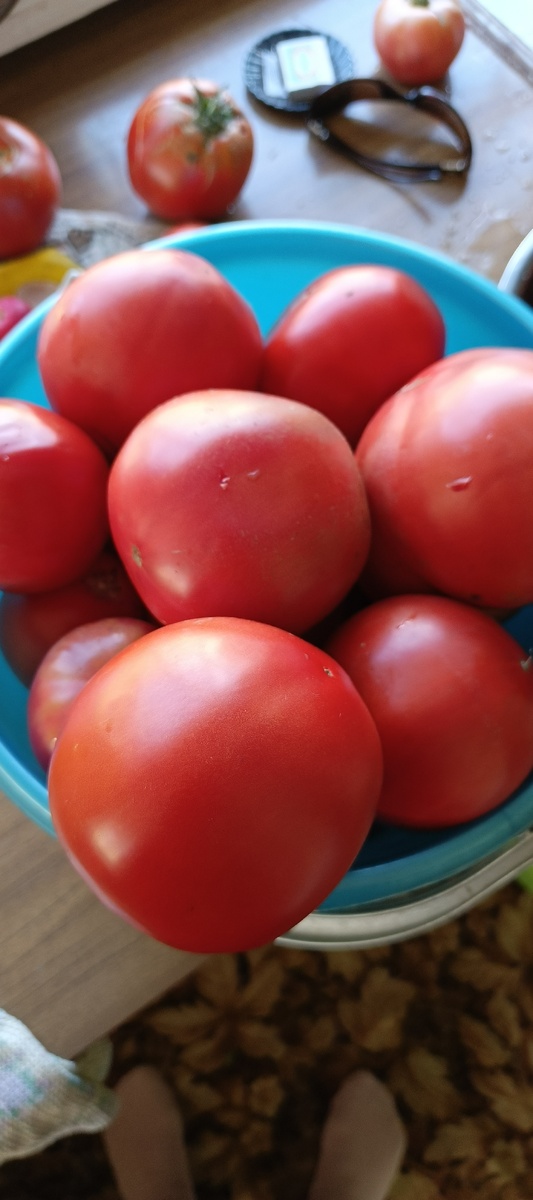 Красавчики!