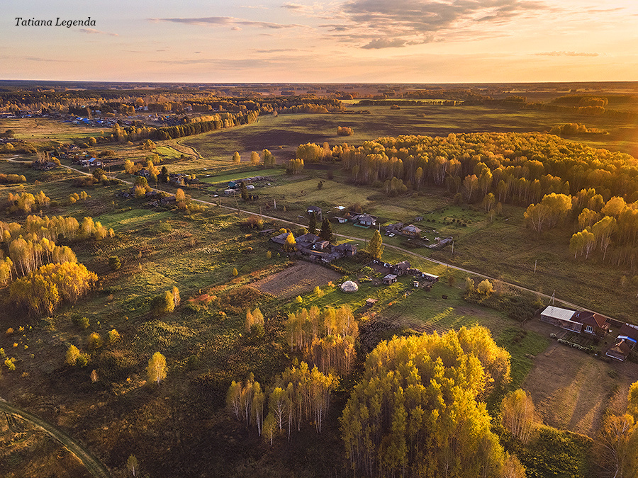 Улица Березовая, д. Лисино, Омская обл. Фото: Соколова Татьяна, г. Омск