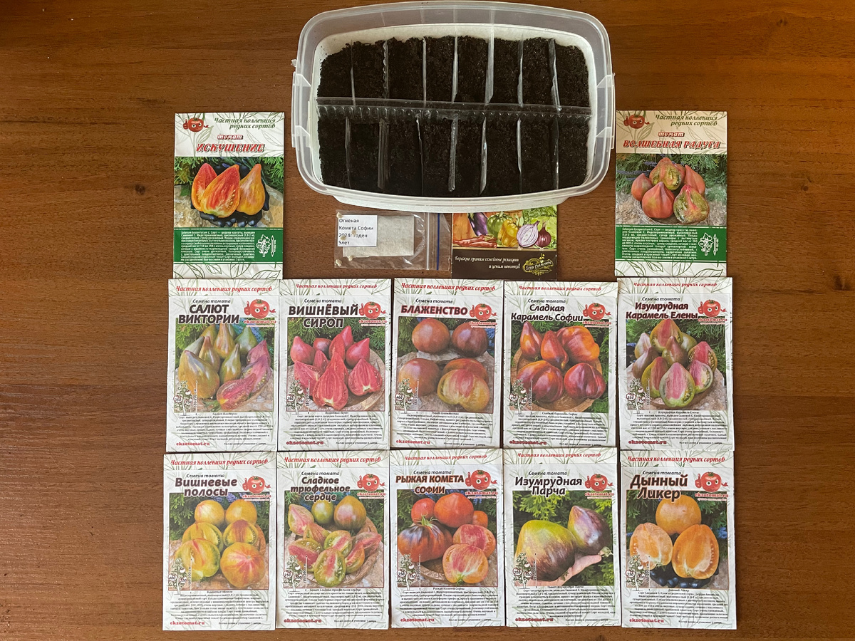 Фото автора (сезон 2025)