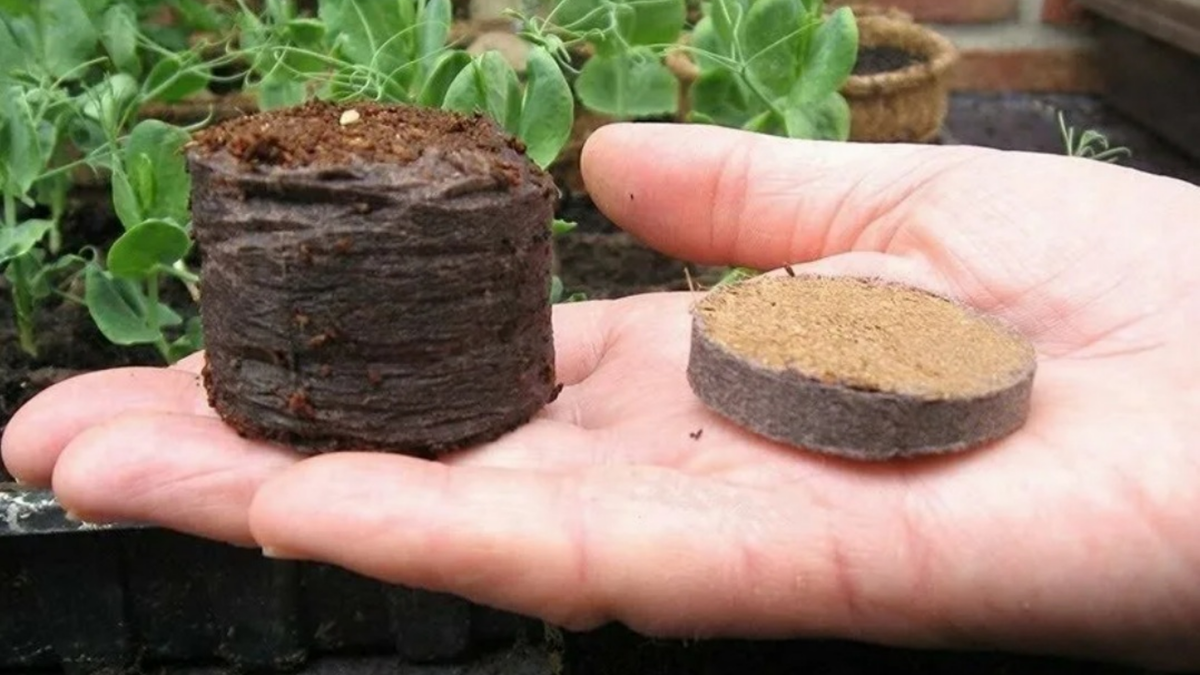 Торфяные таблетки