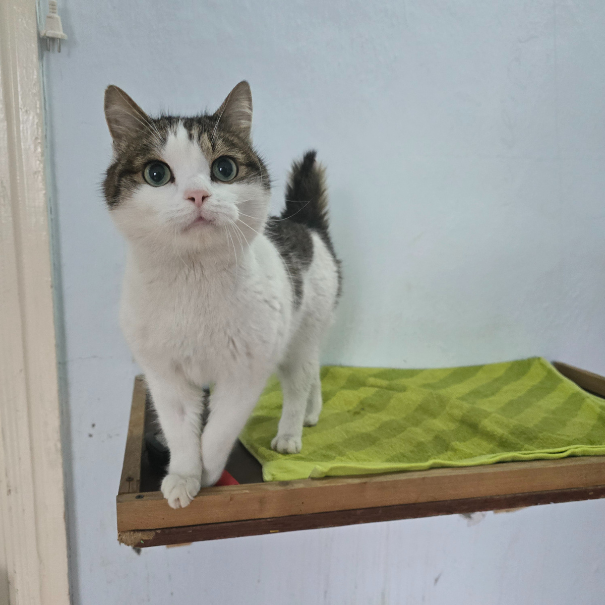 огромные глаза полные вопросов и тихой надежды