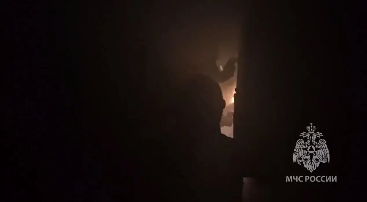    Фото: скриншот из видео пресс-службы ГУ МЧС России по Ленобласти.