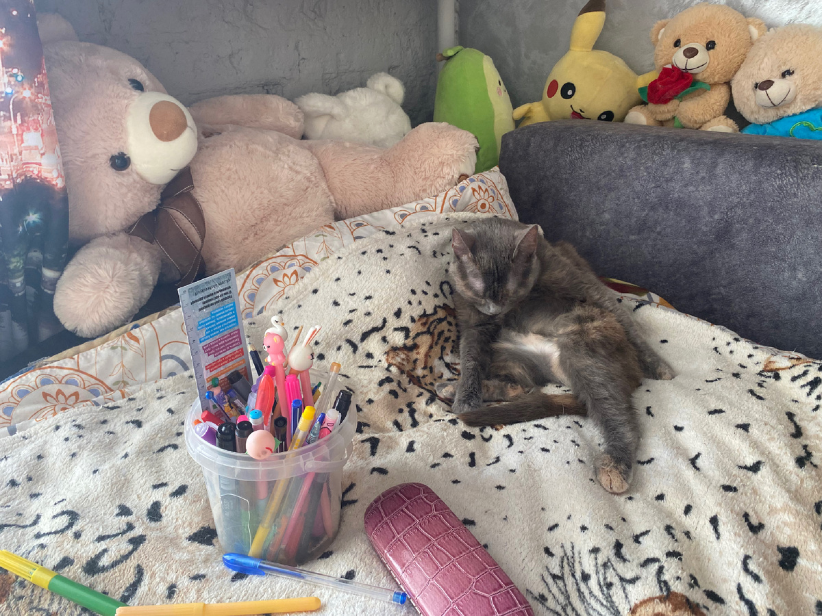 рабочая обстановочка 