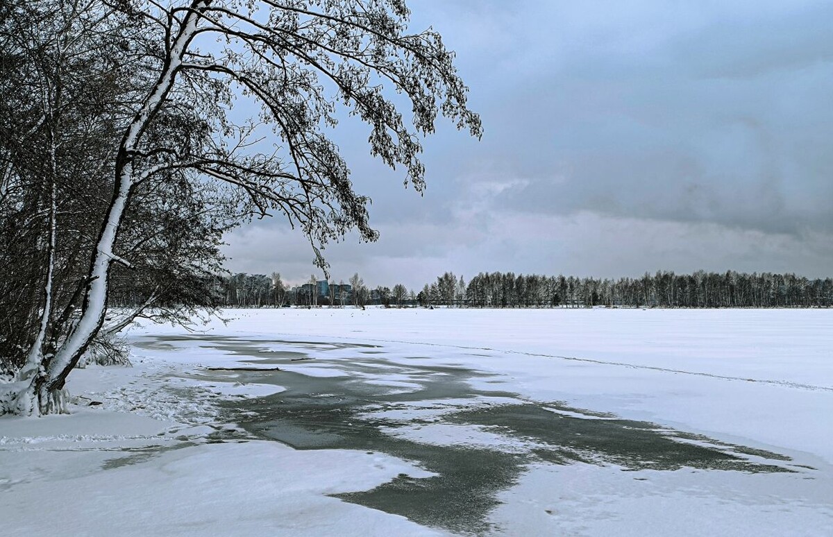    Фото: Олег Чиркашенко