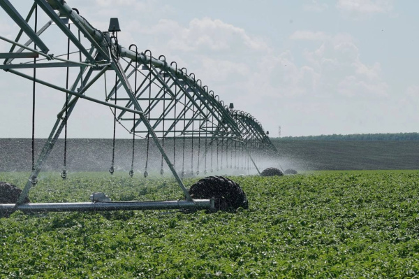 44 меры поддержки и рекордный урожай: итоги года для самарских аграриев