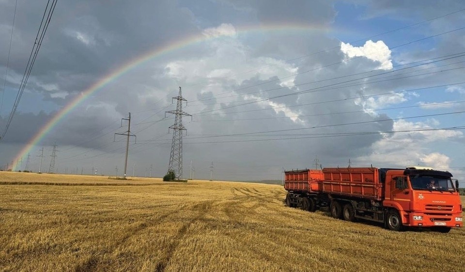    Такие результаты в регионе были достигнуты благодаря активной господдержке Фото: предоставлено министерством сельского хозяйства и продовольствия Самарской области