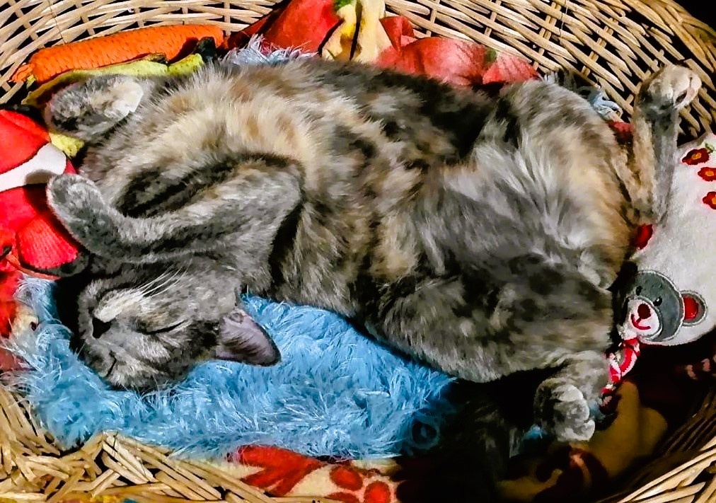 фото автора 