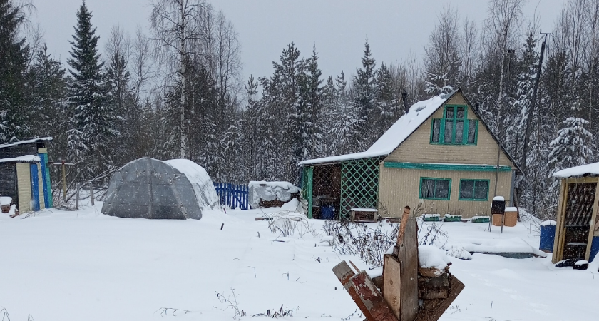    Фото из архива редакции