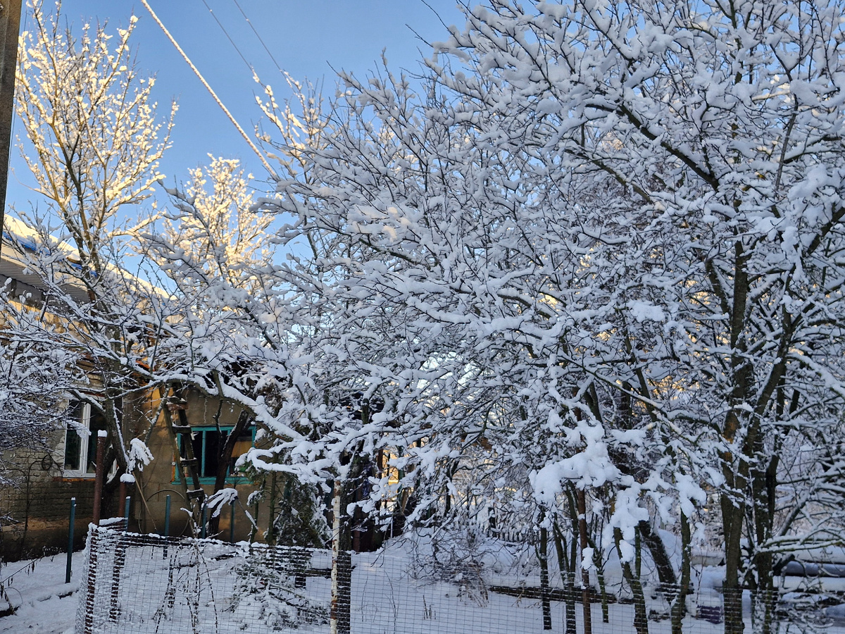 Фото автора 