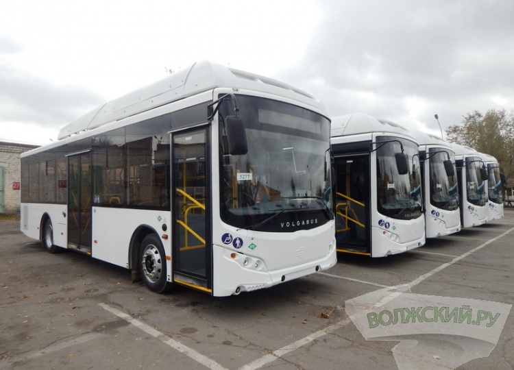 В Рождественскую ночь в Волжском пустят дополнительные автобусы