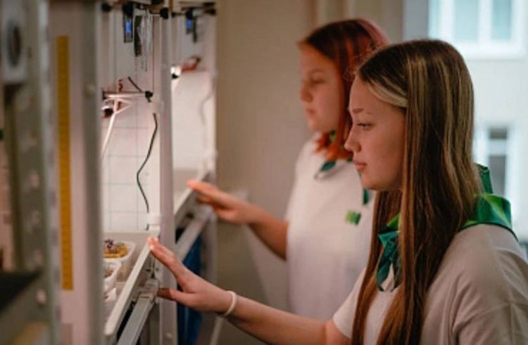 Российские агроколледжи модернизируют по программе Минсельхоза РФ