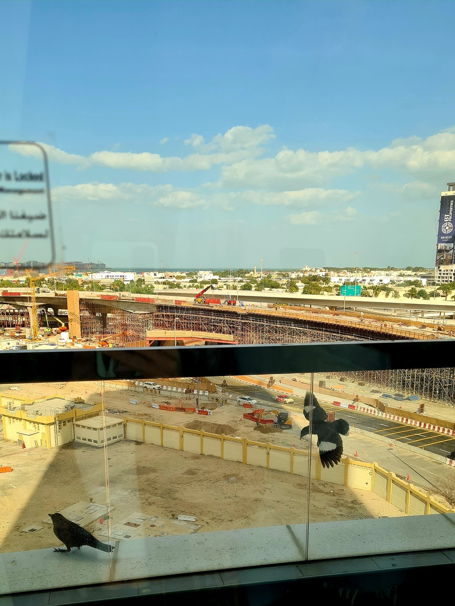 Собственно вид из номера.