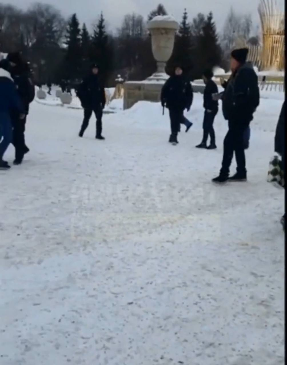 В Новосибирске возбуждено уголовное дело после серии уличных нападений