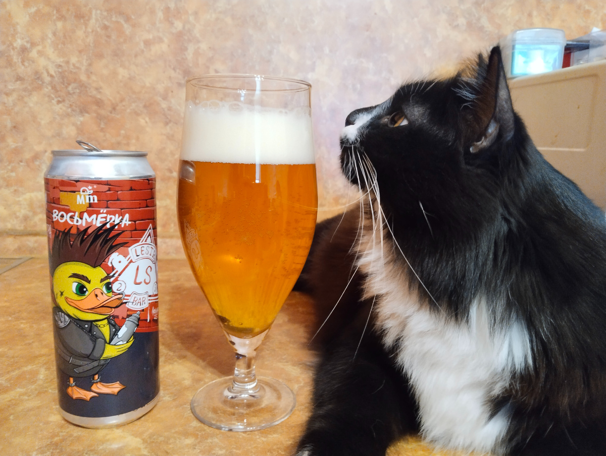 Главный пивной эксперт)))