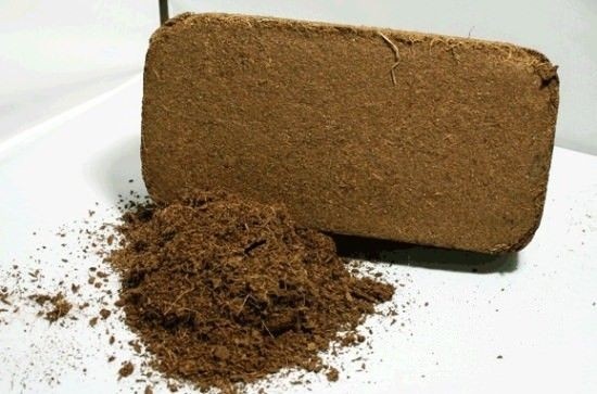 Брикет кокосового субстрата