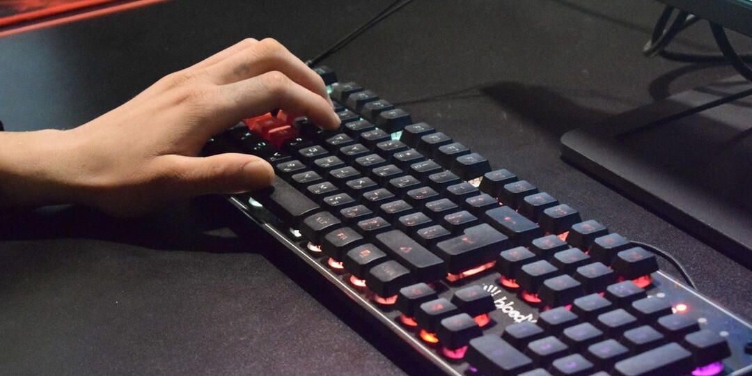 Петербуржцев призвали не использовать одинаковый пароль для разных сайтов