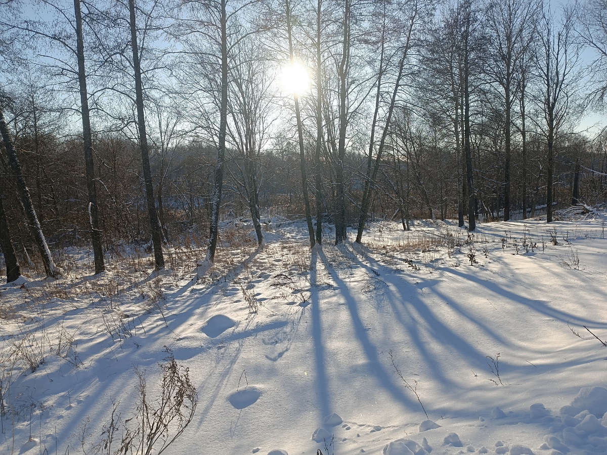 Солнышко светило, -8°