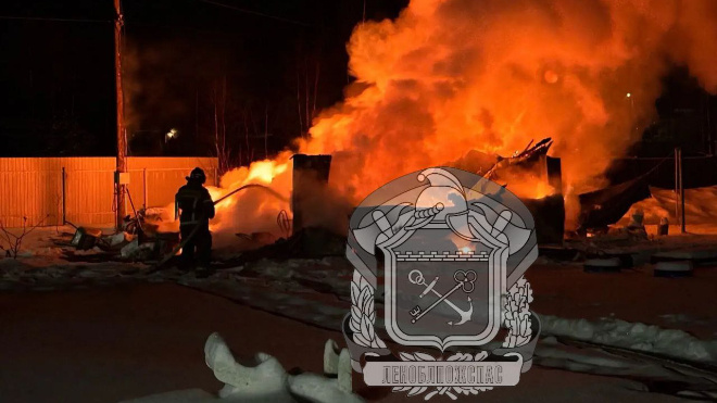 Леноблпожспас за сутки участвовал в тушении 11 пожаров