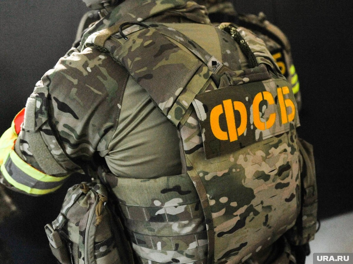     УФСБ выявило праворадикального челябинца, призывавшего пользователей соцсетей к экстремизму
