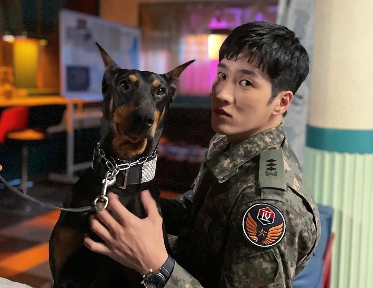 из доступных источников