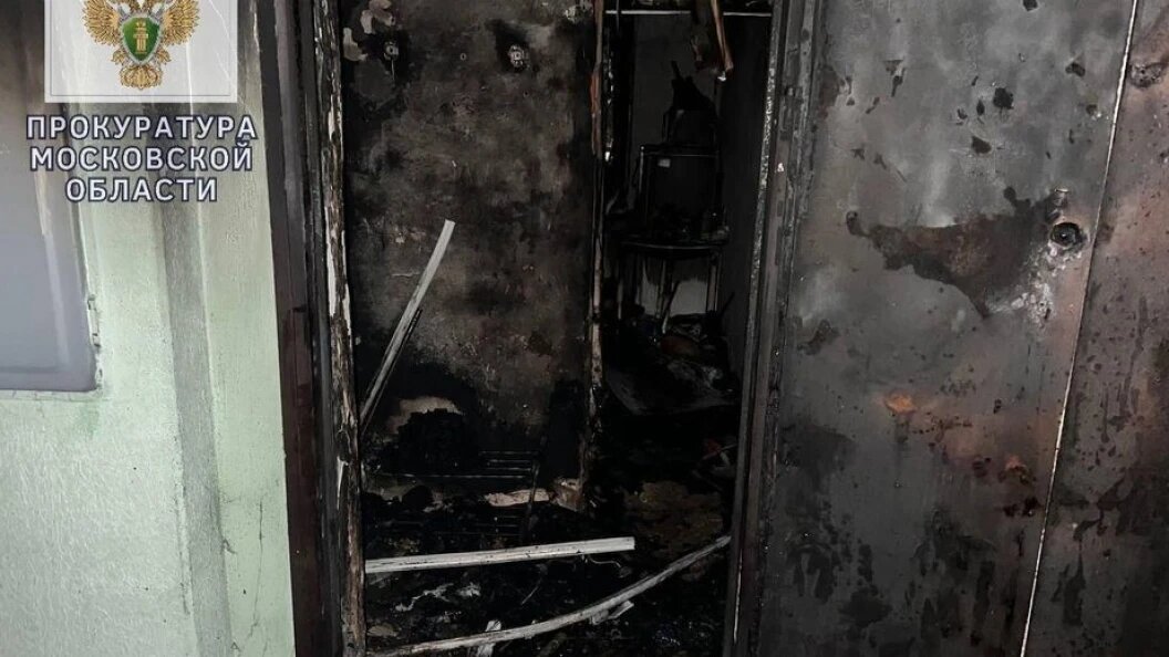    Фото: прокуратура Московской области.