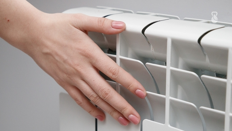      Фото: ИА «Победа26»