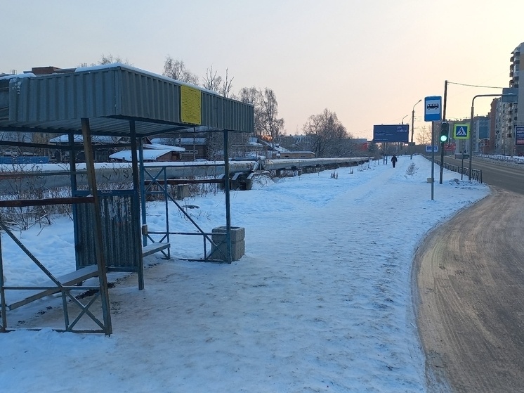     Фото пресс-службы Архангельской городской думы