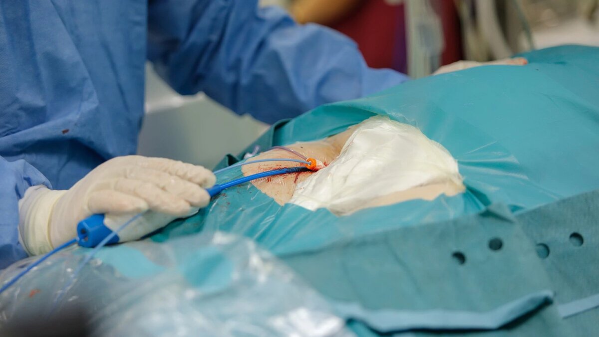    Фото: Антон Вергун