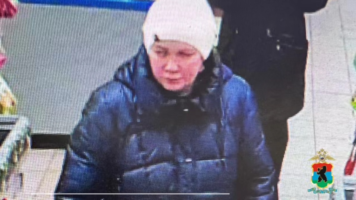    фото: © Полиция Карелии/Telegram-канал