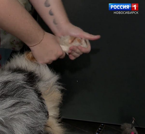 Листайте вправо, чтобы увидеть больше изображений