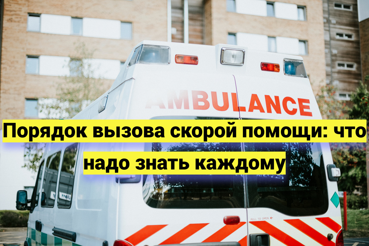 Источник фото: ru.freepik.com