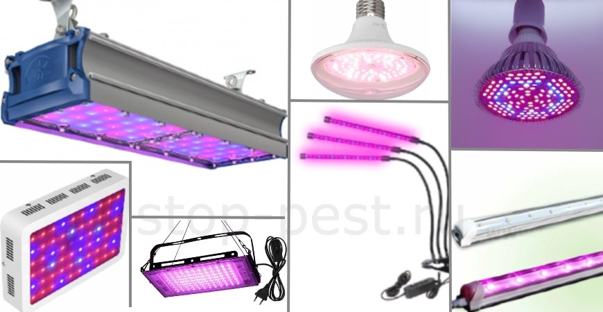 фото сайта https://stop-pest.ru