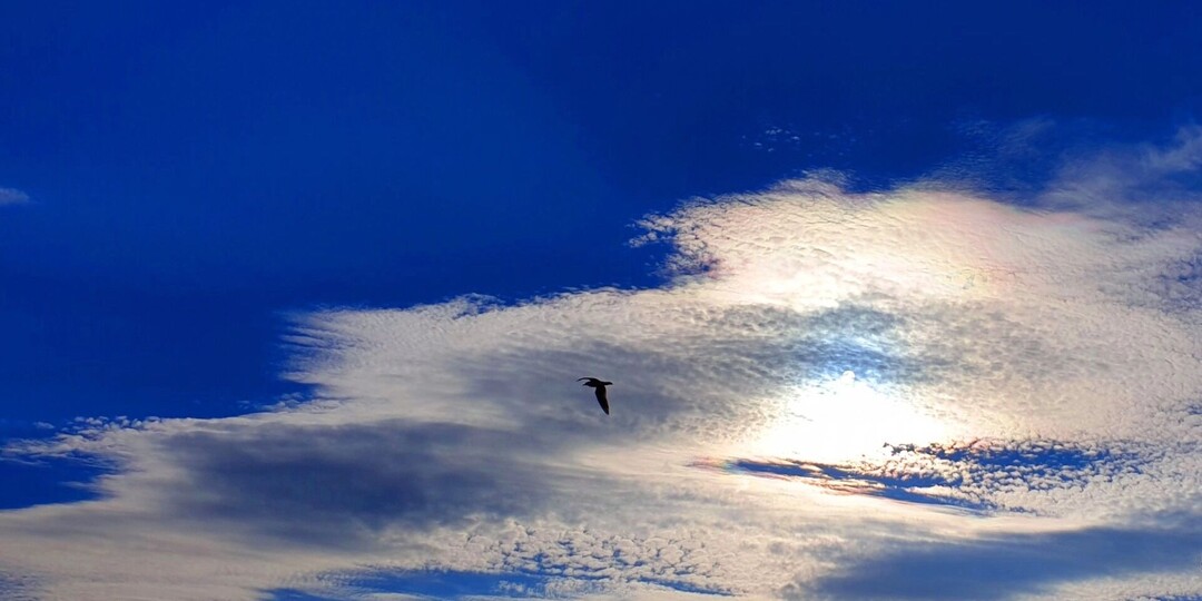 Сигнал «Опасное небо» отменили в Удмуртии