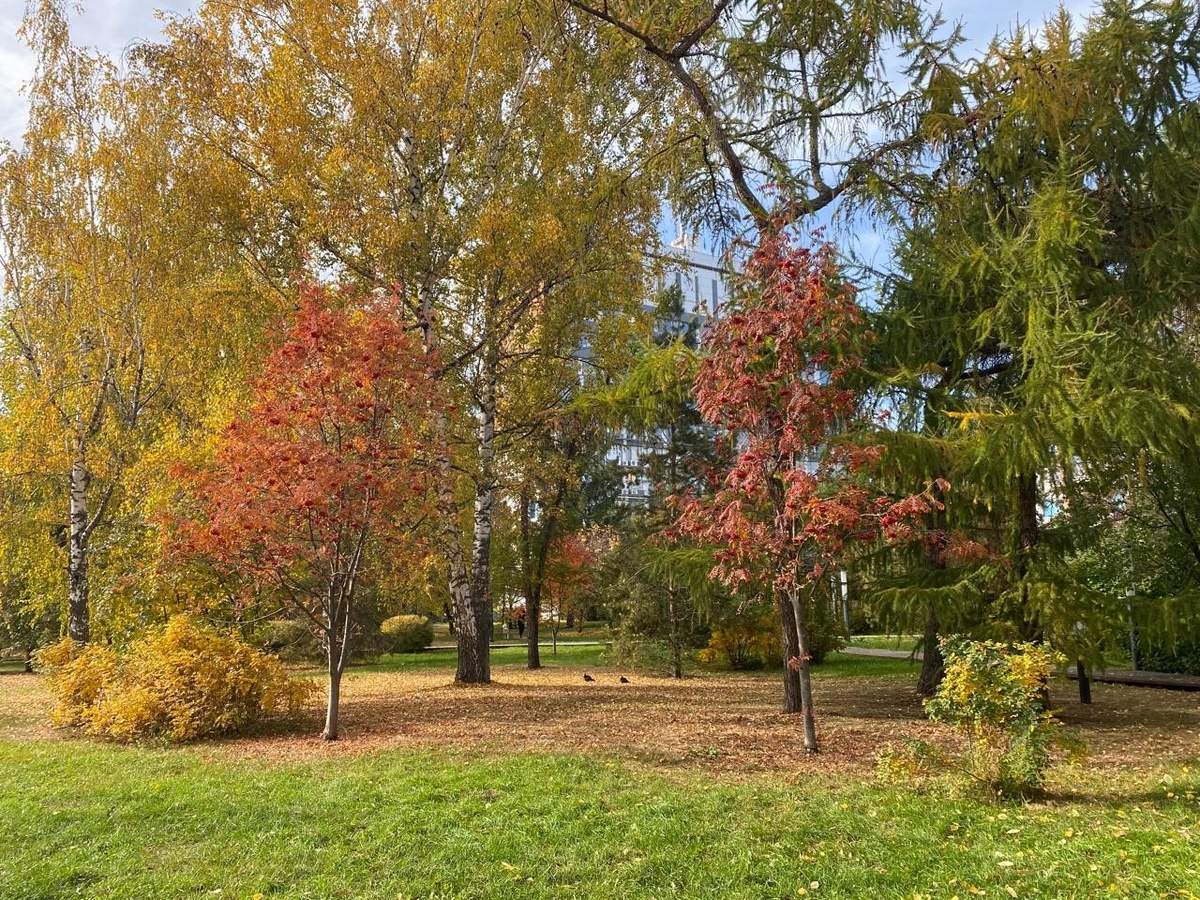 Природа - это счастье