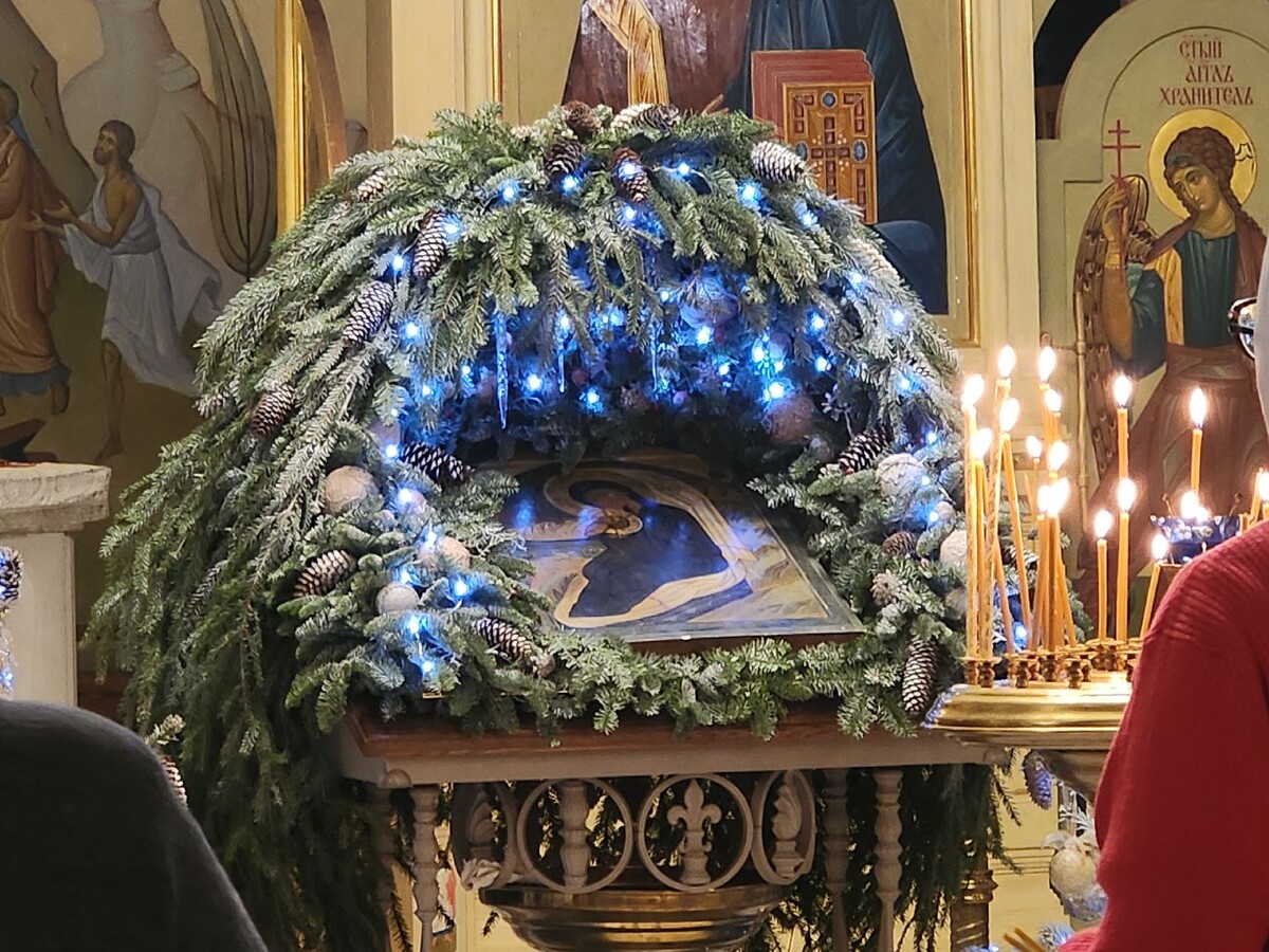    Фото: МедиаБанк Подмосковья/Иван Петрушин