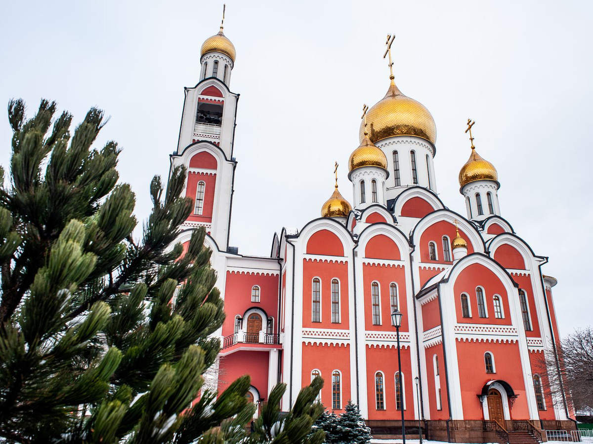    Фото: медиасток.рф