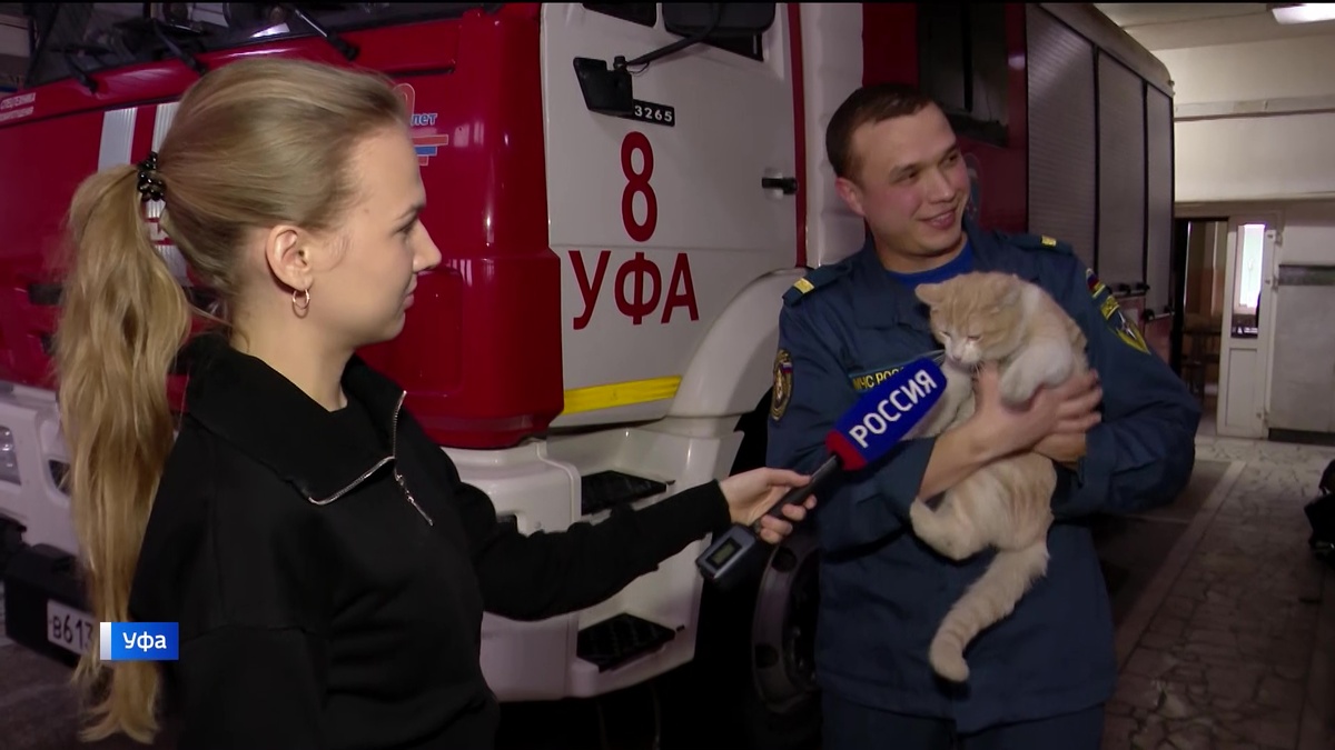   Рыжий кот растопил сердца суровых огнеборцев в Уфе