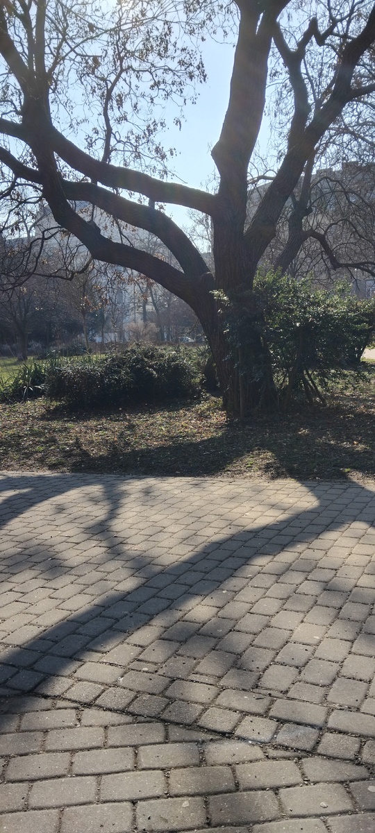 Личное фото от автора 