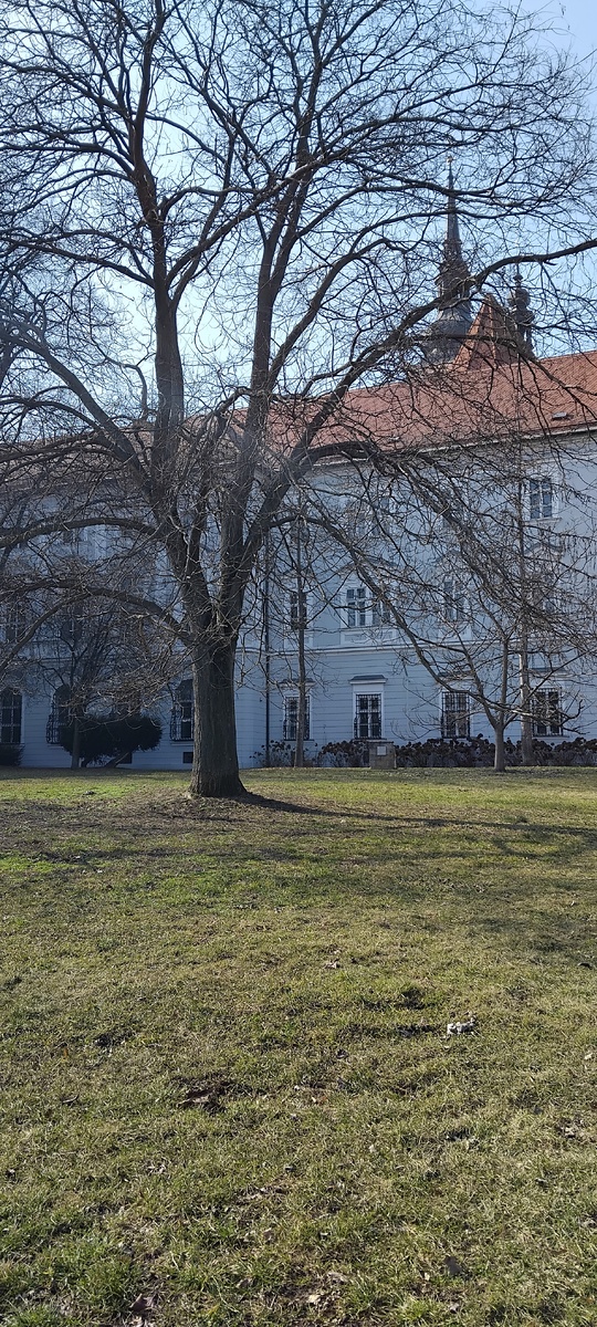 Личное фото от автора 