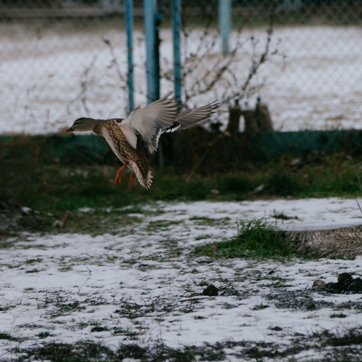 Все фото со старта в исполнении Виктории Савчук. 