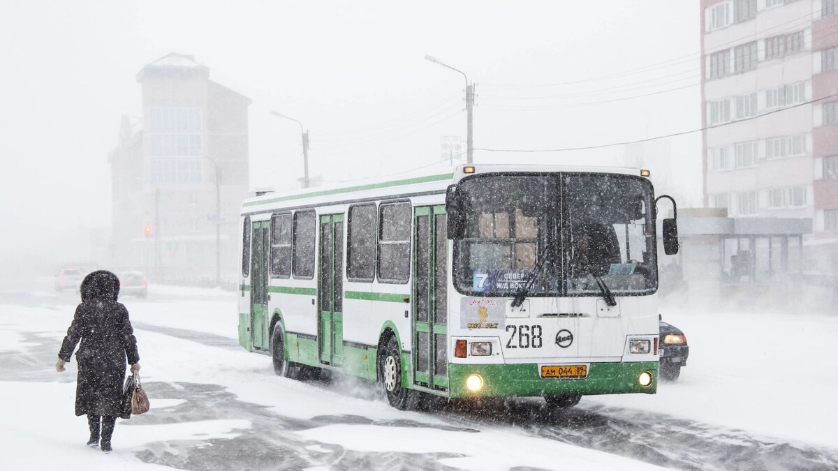    Фото: Art Konovalov/Shutterstock/Fotodom