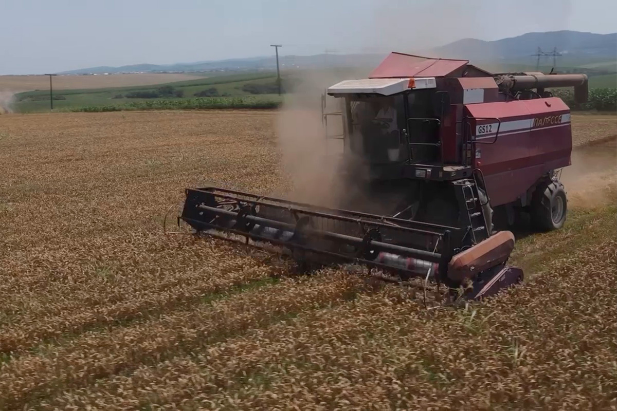    Фото: Правительство Ингушетии