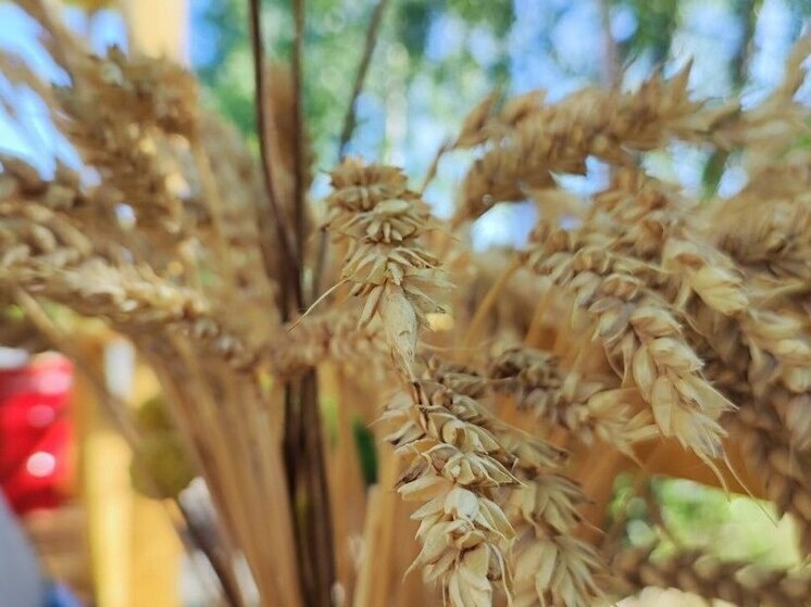     Фото: архив «МК в Калининграде».