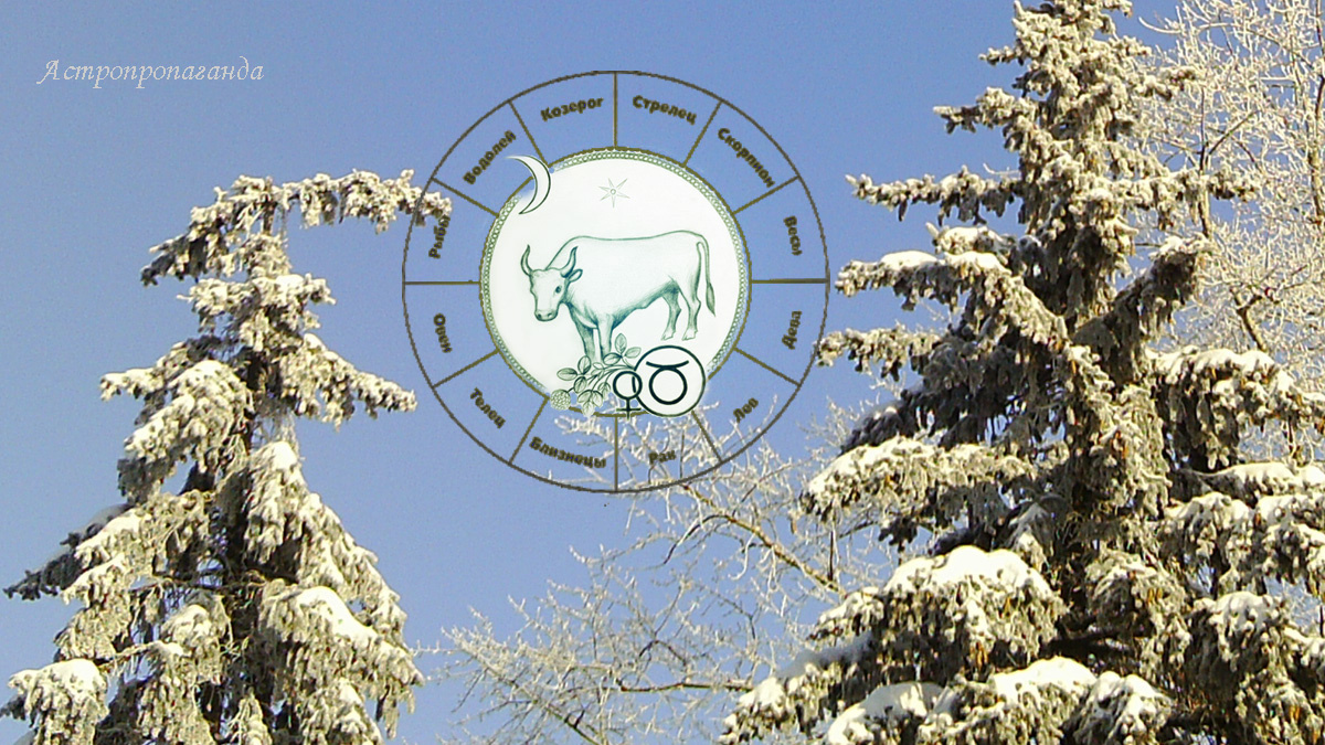 Гороскоп для Тельца с 29 декабря 2025 по 1 февраля 2026. 