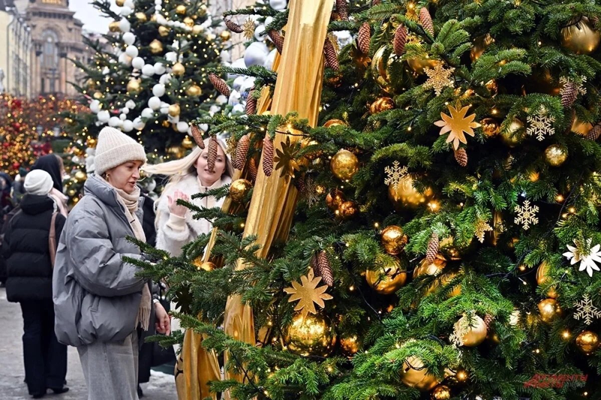    Рождество-2026.