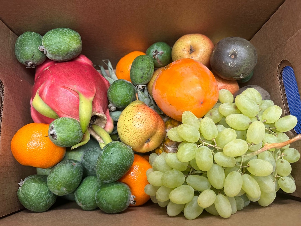     Фото: Бриф24