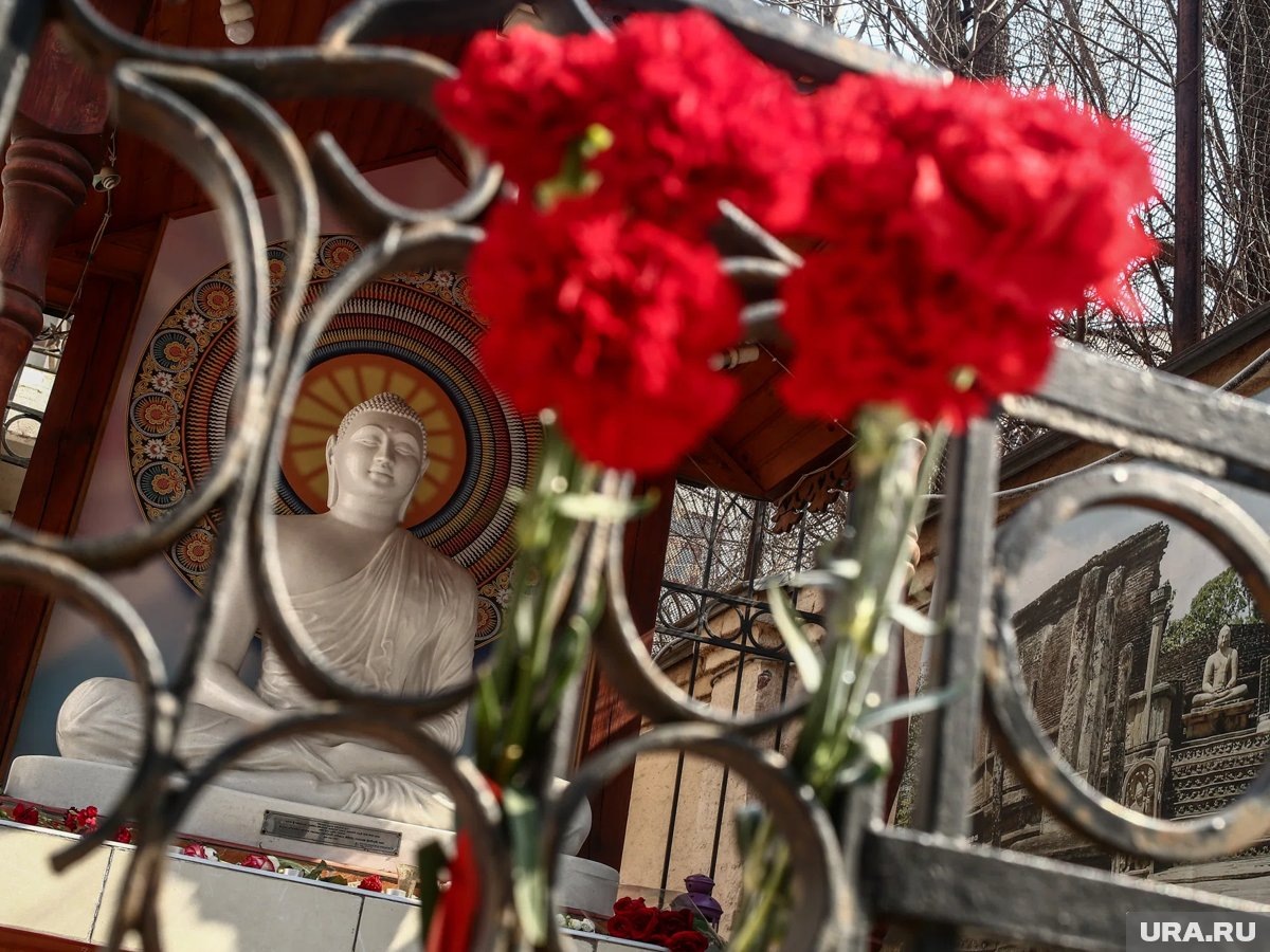     Челябинка скончалась в госпитале на Шри-Ланке