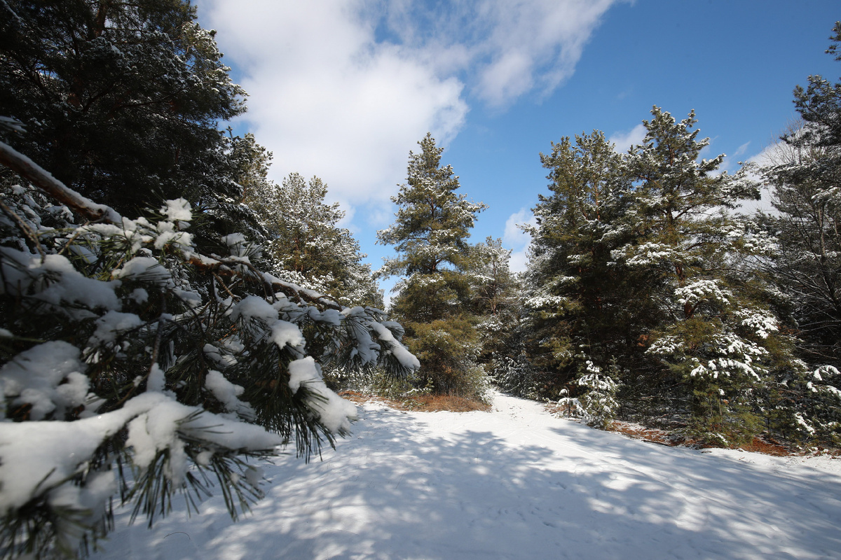© Фото: ИД «Волгоградская правда» / архив